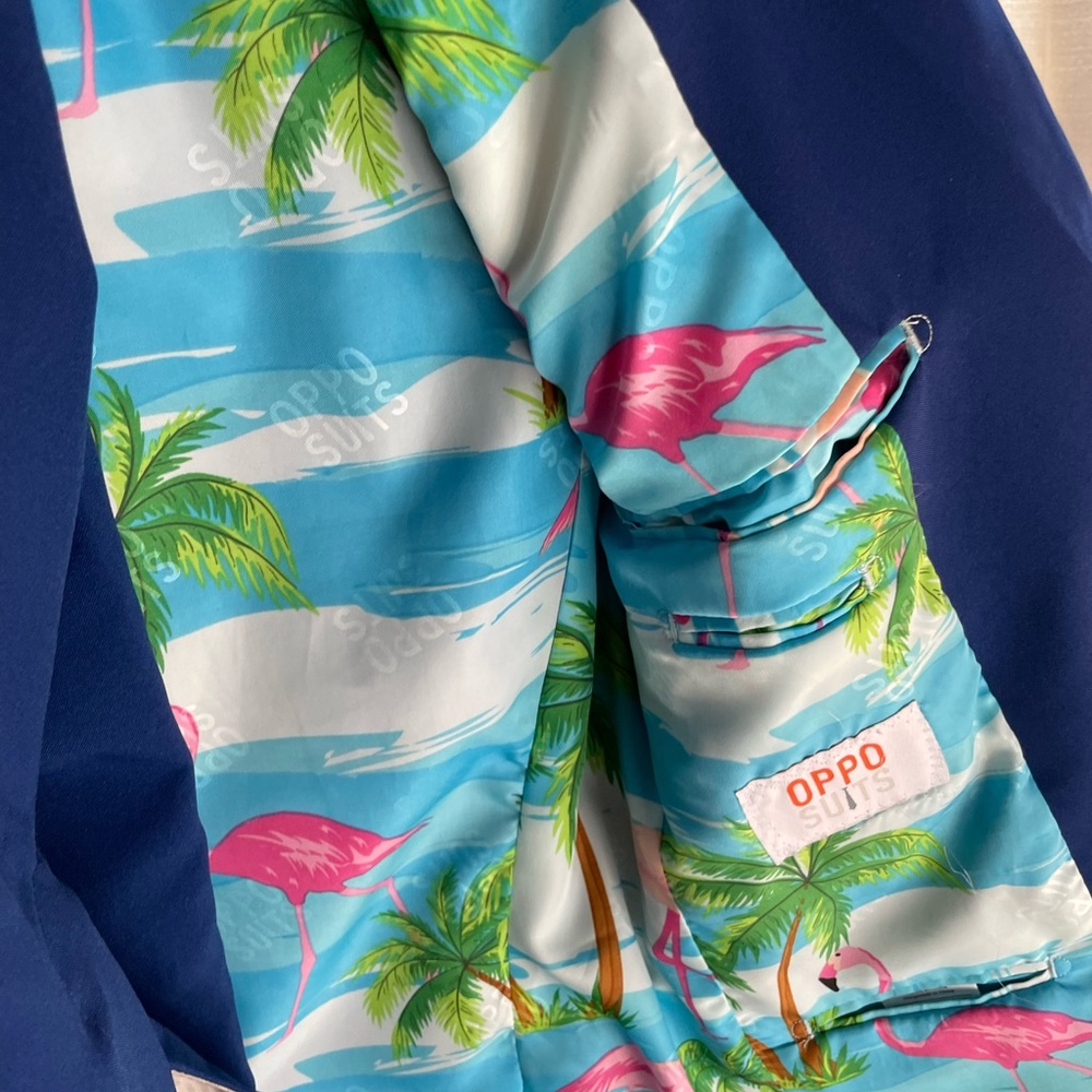 Oppo Blue Flamingo Suit